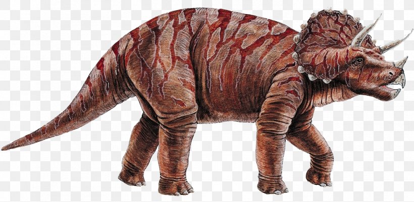 Triceratops Dinosaurs, Dinosaurs Pachycephalosaurus, PNG, 1466x718px, Triceratops, Animal Figure, Armour, Book, Dinosaur Download Free
