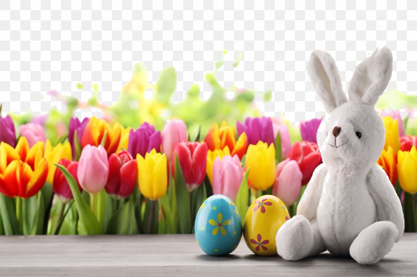 Easter Bunny Easter Egg Tulip Wallpaper, PNG, 1000x667px, Easter Bunny, Christmas, Easter, Easter Egg, Egg Download Free