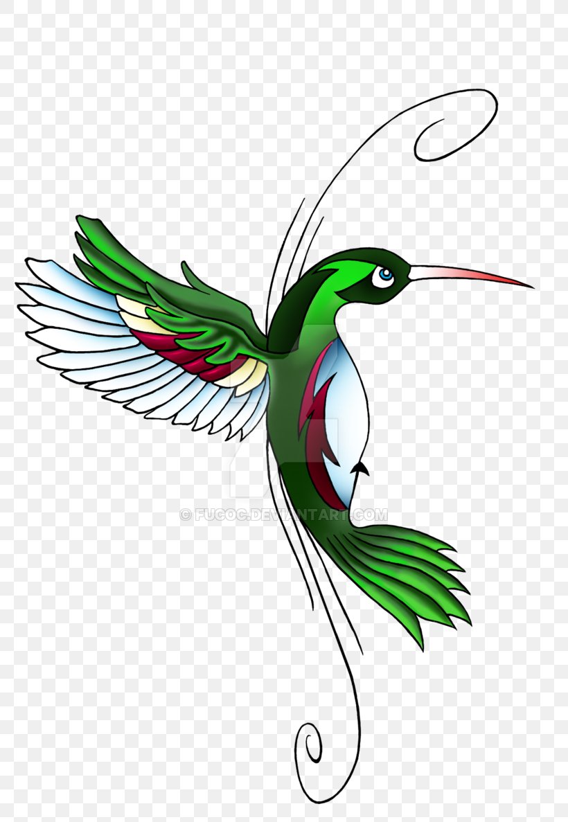 Hummingbird Tattoo Clip Art, PNG, 800x1187px, Hummingbird, Art, Beak, Bird, Drawing Download Free