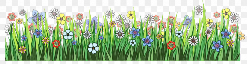 Plant Grass Flower Grass Family Wildflower, PNG, 1600x416px, Watercolor, Flower, Grass, Grass Family, Meadow Download Free