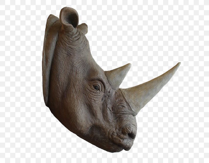 Rhinoceros Snout Horn Animal Cuteness, PNG, 640x640px, Rhinoceros, Animal, Bird, Cattle, Cattle Like Mammal Download Free