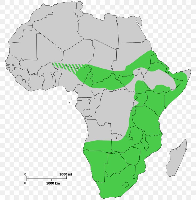 Chad Sub-Saharan Africa Blank Map, PNG, 1000x1025px, Chad, Africa, Area, Blank Map, Ecoregion Download Free