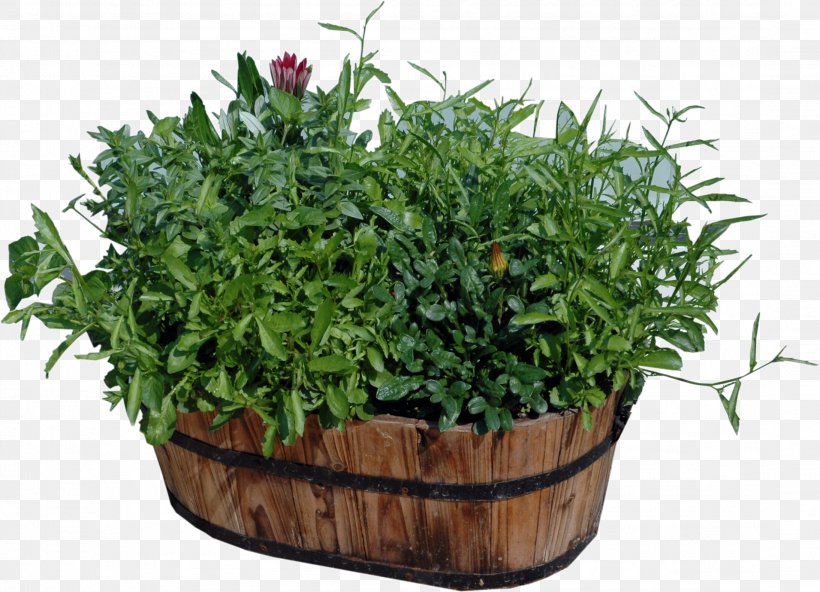 Flowerpot Houseplant Wood, PNG, 2188x1582px, Flowerpot, Bmp File Format, Chair, Dwg, Fines Herbes Download Free