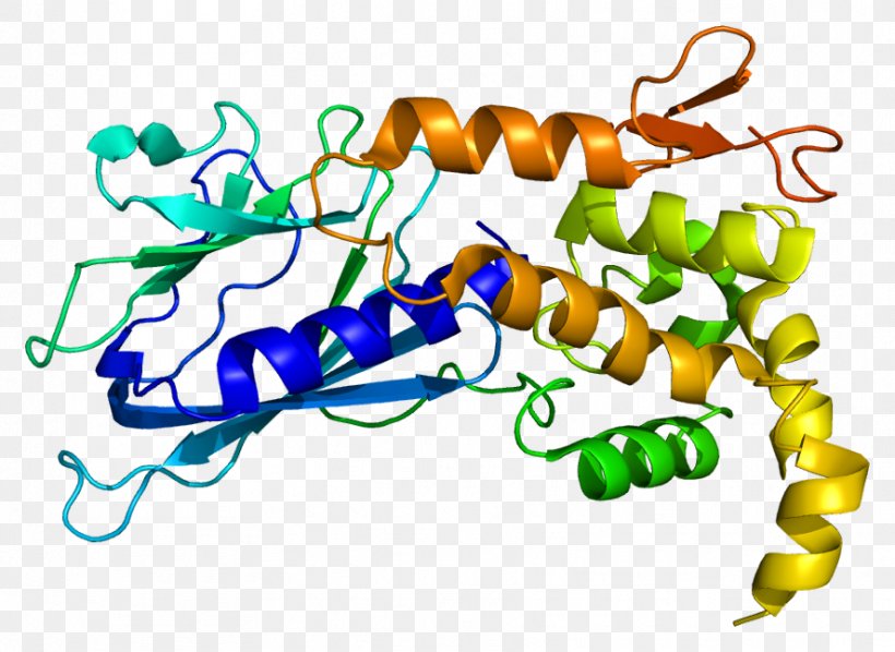 NEIL1 DNA Glycosylase Base Excision Repair Protein Gene, PNG, 887x647px, Base Excision Repair, Area, Artwork, Dna, Dna Repair Download Free
