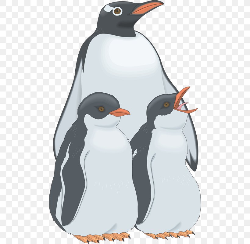 Penguin Clip Art, PNG, 499x800px, Penguin, Beak, Bird, Child, Flightless Bird Download Free