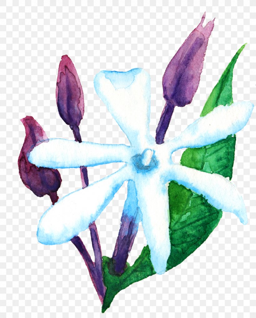 Petal Watercolor Painting Leaf, PNG, 919x1142px, Petal, Flora, Floral Design, Flower, Flowering Plant Download Free