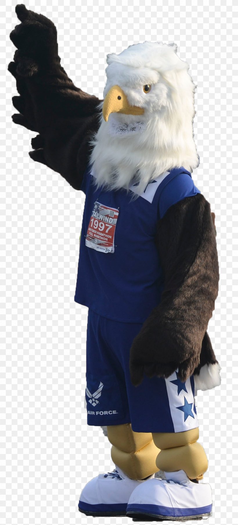 Bird Of Prey Cobalt Blue Mascot Costume, PNG, 1000x2200px, Bird Of Prey, Bird, Blue, Cobalt, Cobalt Blue Download Free