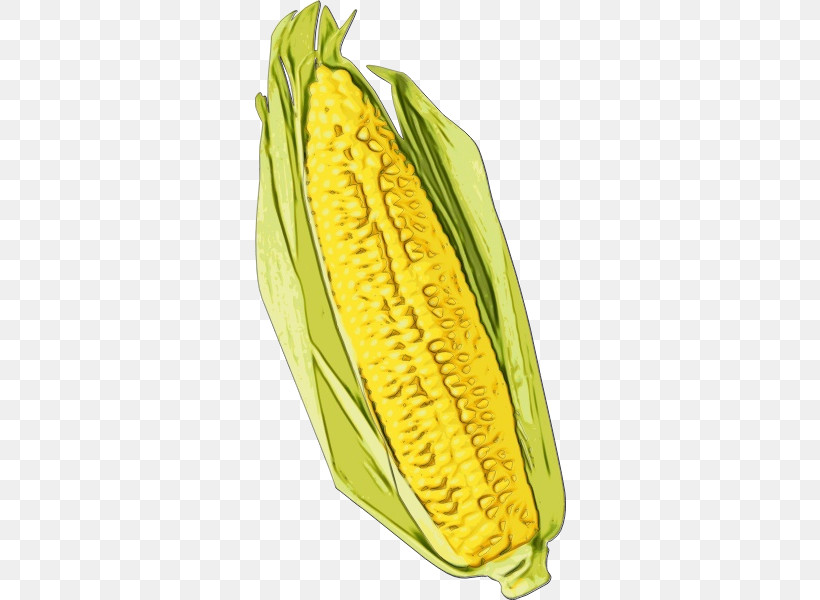 Corn On The Cob Sweet Corn Commodity Banana Maize, PNG, 600x600px, Watercolor, Banana, Commodity, Corn On The Cob, Maize Download Free