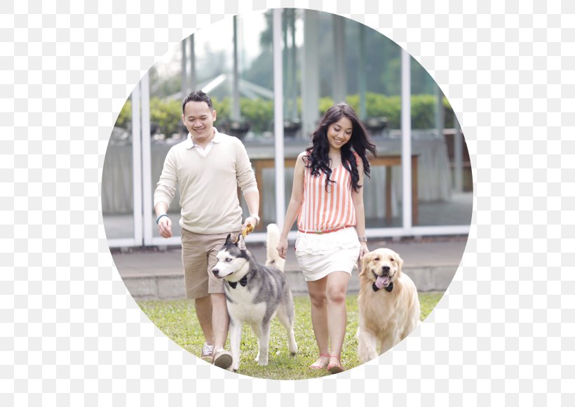 Dog Breed Leash Obedience Training Companion Dog, PNG, 580x580px, Dog Breed, Breed, Companion Dog, Dog, Dog Breed Group Download Free