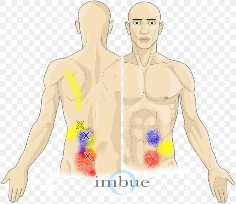 Finger Abdomen Human Body Myofascial Trigger Point Abdominal Pain, PNG, 891x769px, Watercolor, Cartoon, Flower, Frame, Heart Download Free