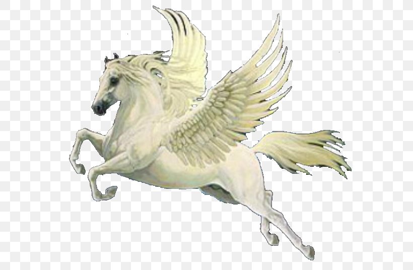 Pegasus Massage & Spa Greek Mythology, PNG, 605x536px, Pegasus, Animation, Asus, Chrysaor, Fictional Character Download Free