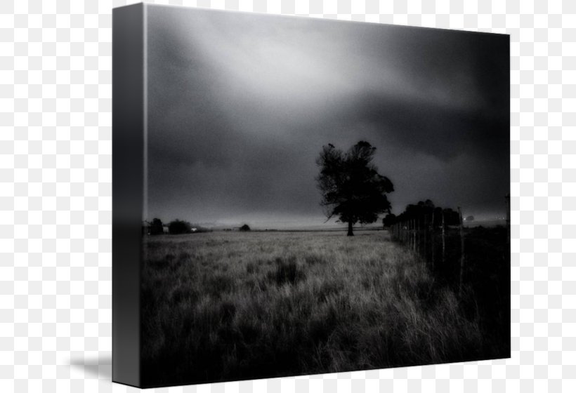 Black And White Picture Frames Still Life Photography Stock Photography, PNG, 650x560px, Black And White, Black, Cloud, Cloud Computing, Film Frame Download Free