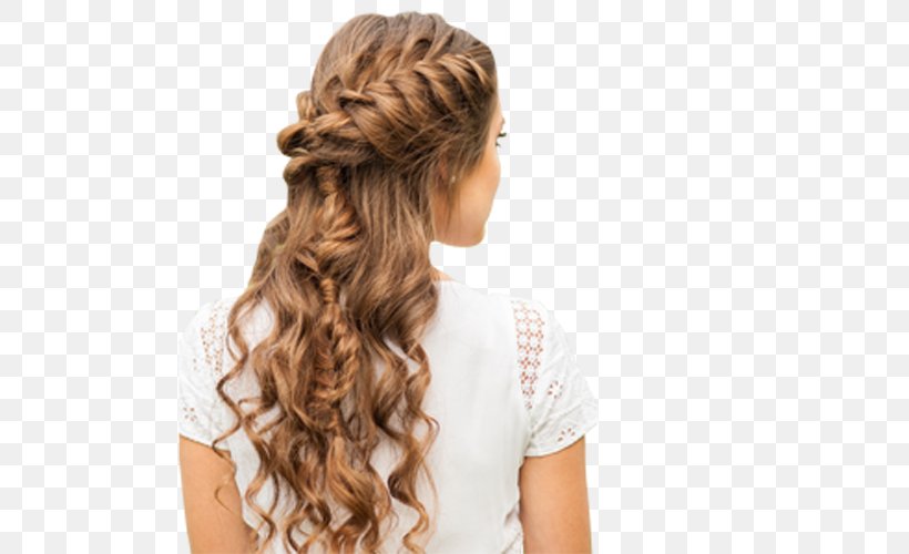 French Braid Hairstyle Updo Png 500x500px Braid