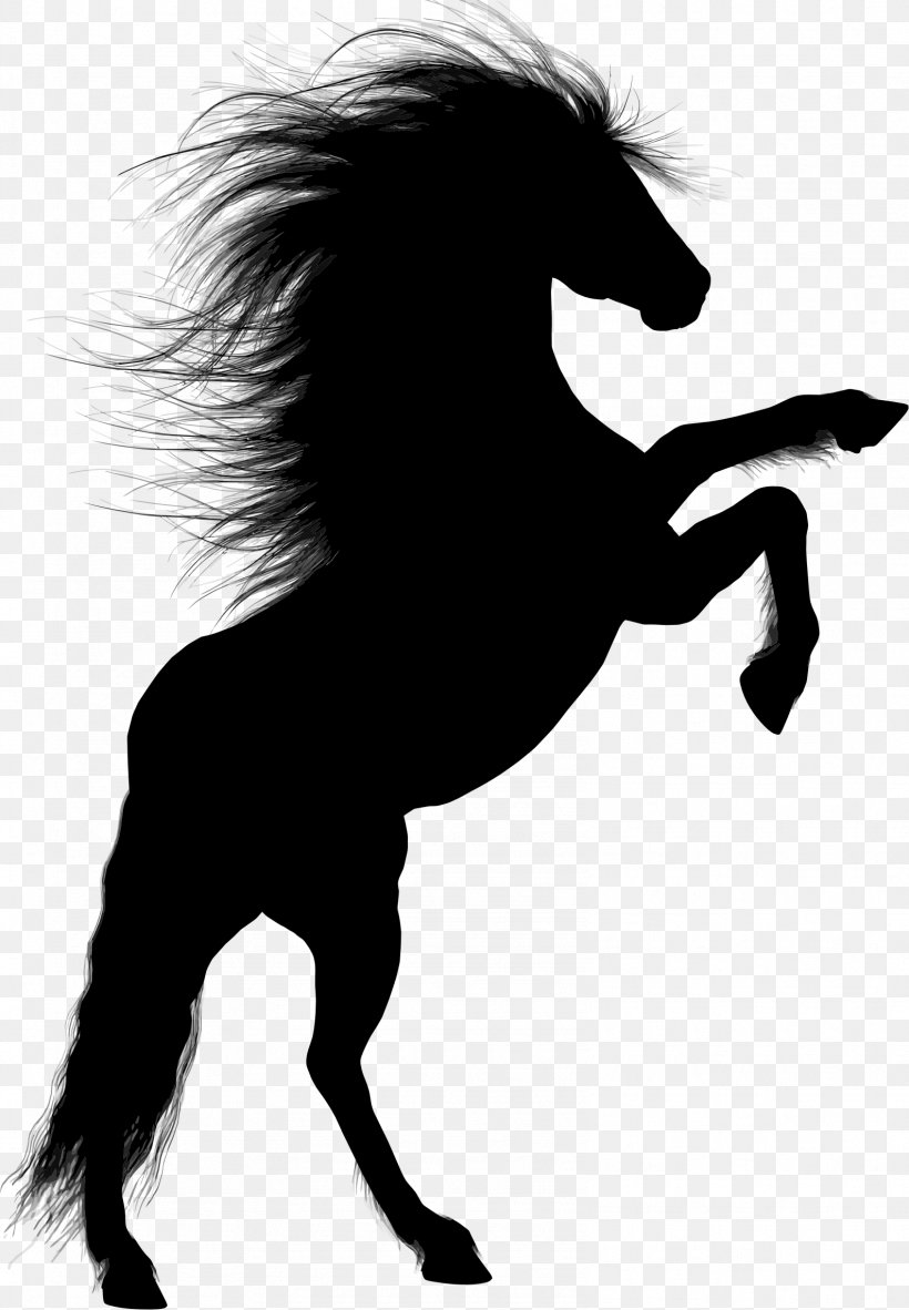 Horse Stallion Rearing Silhouette, PNG, 1587x2289px, Horse, Black And White, Colt, Equestrian, Fictional Character Download Free