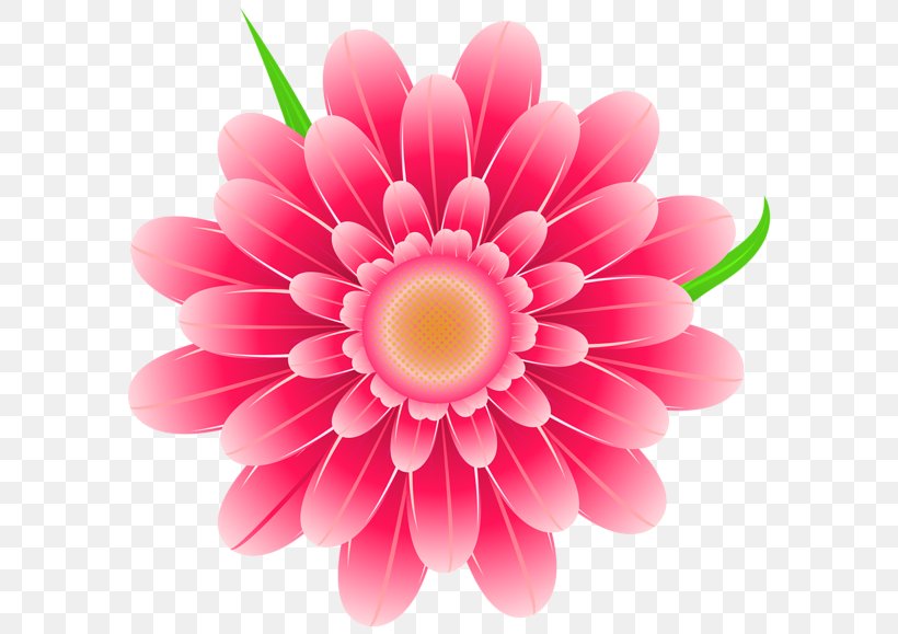 Pink Flowers Clip Art, PNG, 600x579px, Flower, Annual Plant, Chrysanths, Close Up, Color Download Free