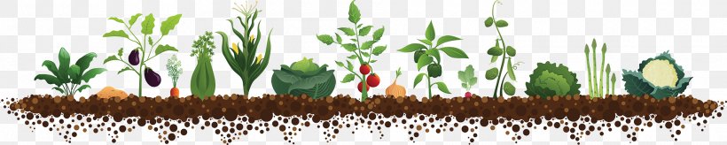 Vegetable Kitchen Garden, PNG, 1920x385px, Vegetable, Commodity, Community Gardening, Drawing, Food Download Free