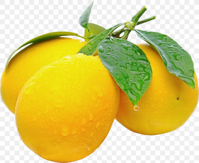 Yellow Fruit Food Natural Foods Plant, PNG, 3000x2455px, Yellow, European Plum, Food, Fruit, Lemon Download Free
