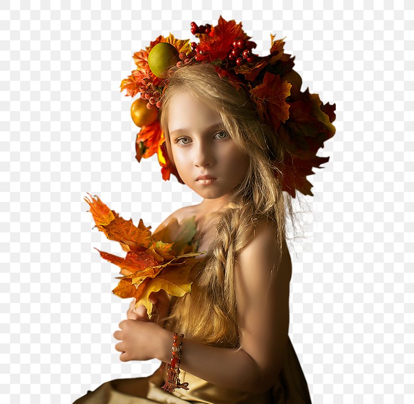 Autumn Animation, PNG, 539x800px, Autumn, Animation, Blog, Child, Floral Design Download Free