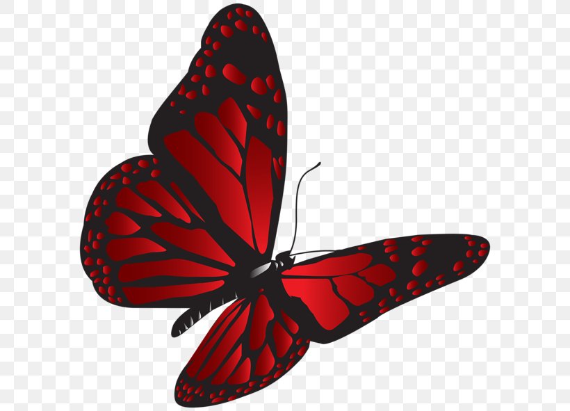 Butterfly Red Clip Art, PNG, 600x591px, Butterfly, Appias Nero, Arthropod, Blue, Brush Footed Butterfly Download Free