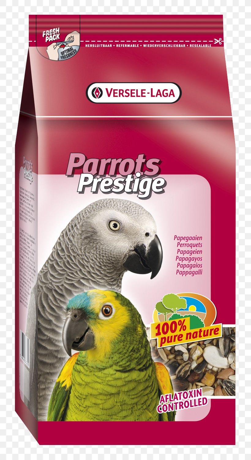 Amazon Parrot Budgerigar Cockatiel Bird, PNG, 802x1500px, Parrot, Alexandrine Parakeet, Amazon Parrot, Beak, Bird Download Free