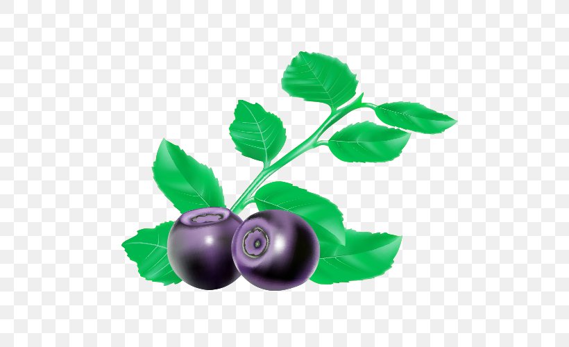 Blueberry Bilberry Blackcurrant, PNG, 500x500px, Berry, Bilberry, Blackberry, Blackcurrant, Blueberry Download Free