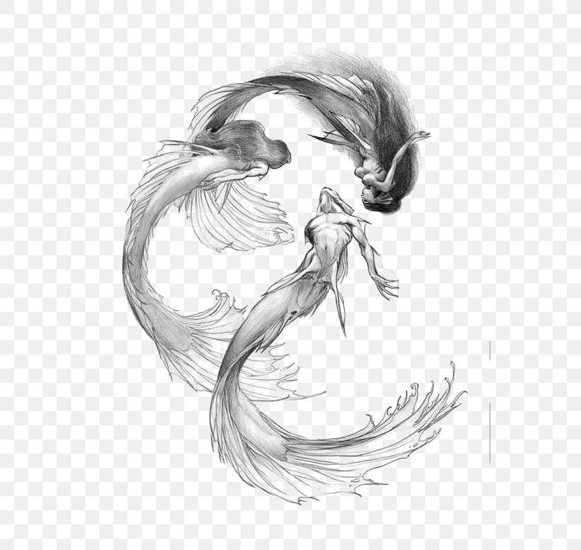 Mermaid Drawing Siren Sketch, PNG, 564x776px, Mermaid, Art, Artwork, Black And White, Concept Art Download Free