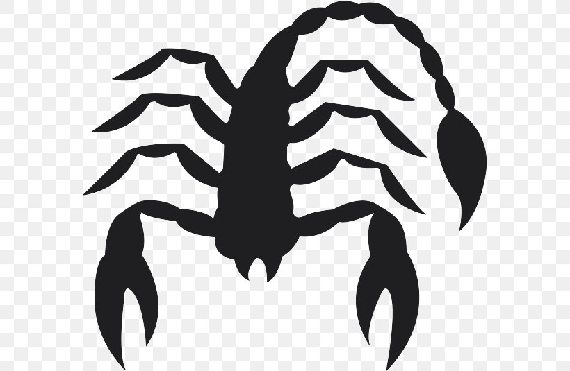 Scorpion Black And White Insect Wing Pattern, PNG, 582x535px, Scorpio, Aries, Astrological Sign, Astrology, Black And White Download Free