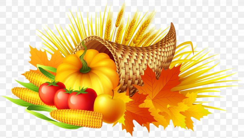 Thanksgiving Cornucopia Clip Art, PNG, 6000x3398px, Thanksgiving, Chrysanths, Cornucopia, Cucurbita, Daisy Family Download Free