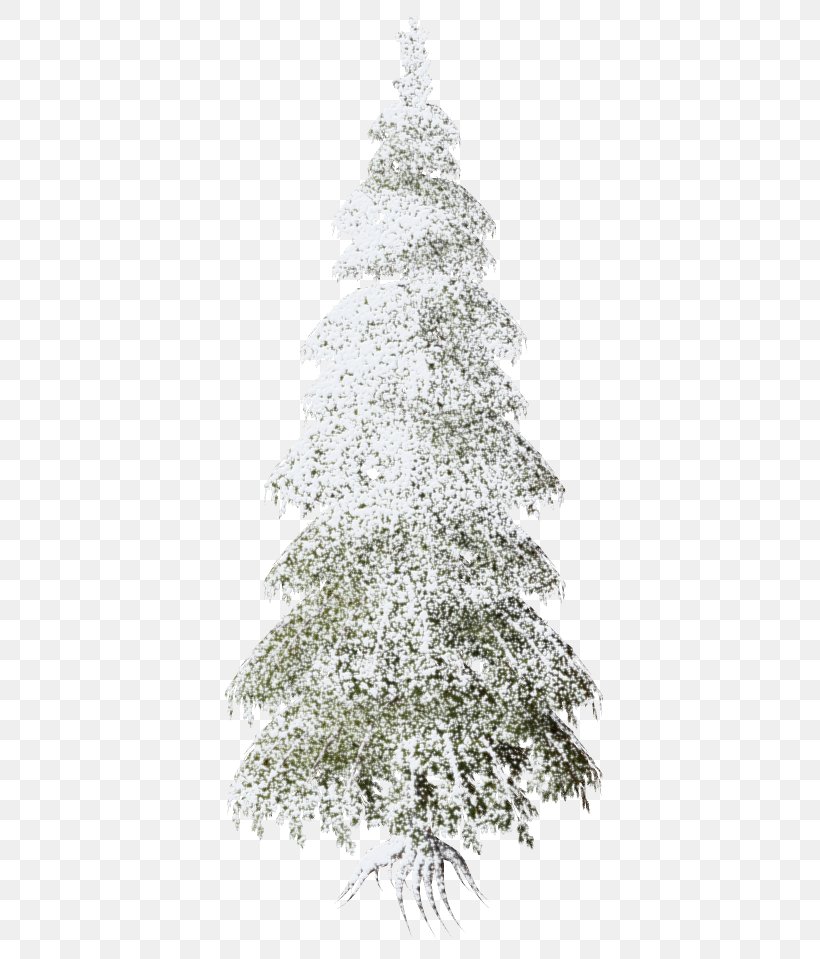 Christmas Day Christmas Tree Spruce Christmas Ornament, PNG, 446x959px, Christmas Day, Branch, Christmas Decoration, Christmas Jumper, Christmas Ornament Download Free