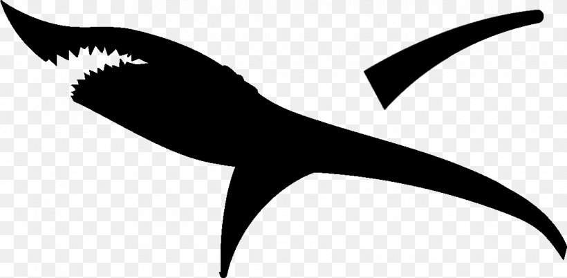 Cricut Great White Shark Silhouette Clip Art, PNG, 1118x549px, Cricut, Artwork, Autocad Dxf, Beak, Black And White Download Free