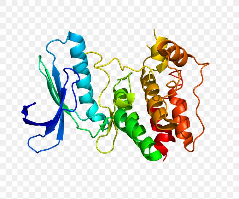 Protein Kinase TTK Kalirin Gene, PNG, 1200x1000px, Protein, Art, Dualspecificity Kinase, Dynein, Enzyme Download Free