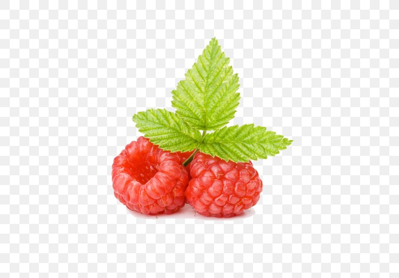 Red Raspberry Fruit Computer File, PNG, 568x571px, Raspberry, Auglis, Berry, Blackberry, Food Download Free