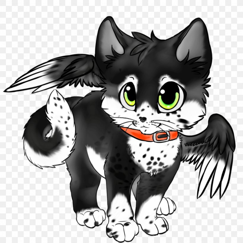 Whiskers Kitten Black Cat Dog, PNG, 894x894px, Whiskers, Black, Black And White, Black Cat, Black M Download Free