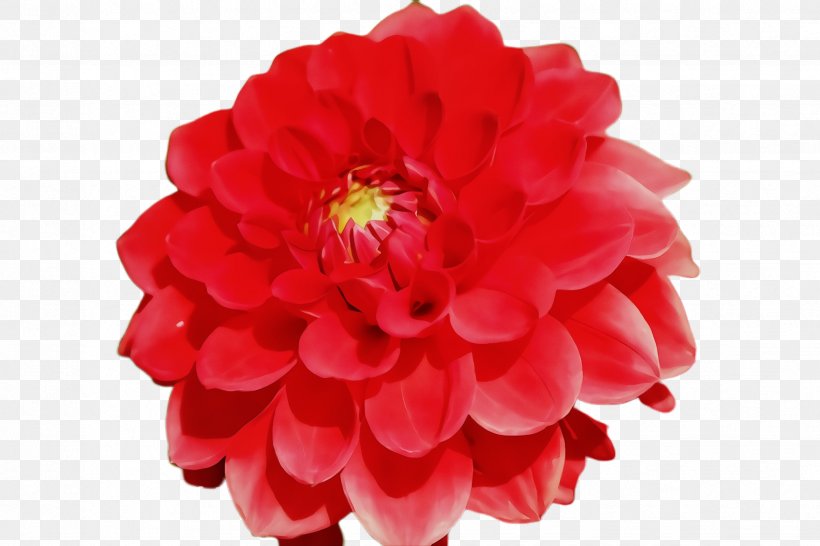 Artificial Flower, PNG, 2448x1632px, Watercolor, Artificial Flower, Dahlia, Flower, Flowering Plant Download Free