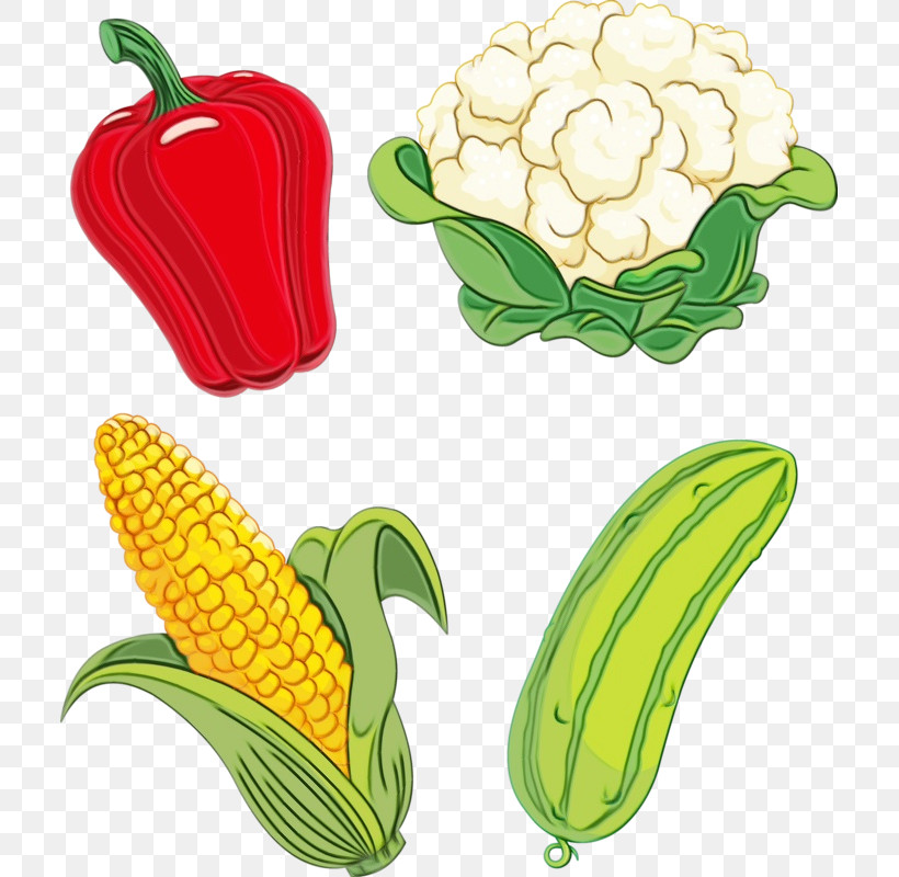 Natural Food Vegetable Superfood Flower Fruit, PNG, 709x800px, Watercolor, Flower, Fruit, Natural Food, Paint Download Free
