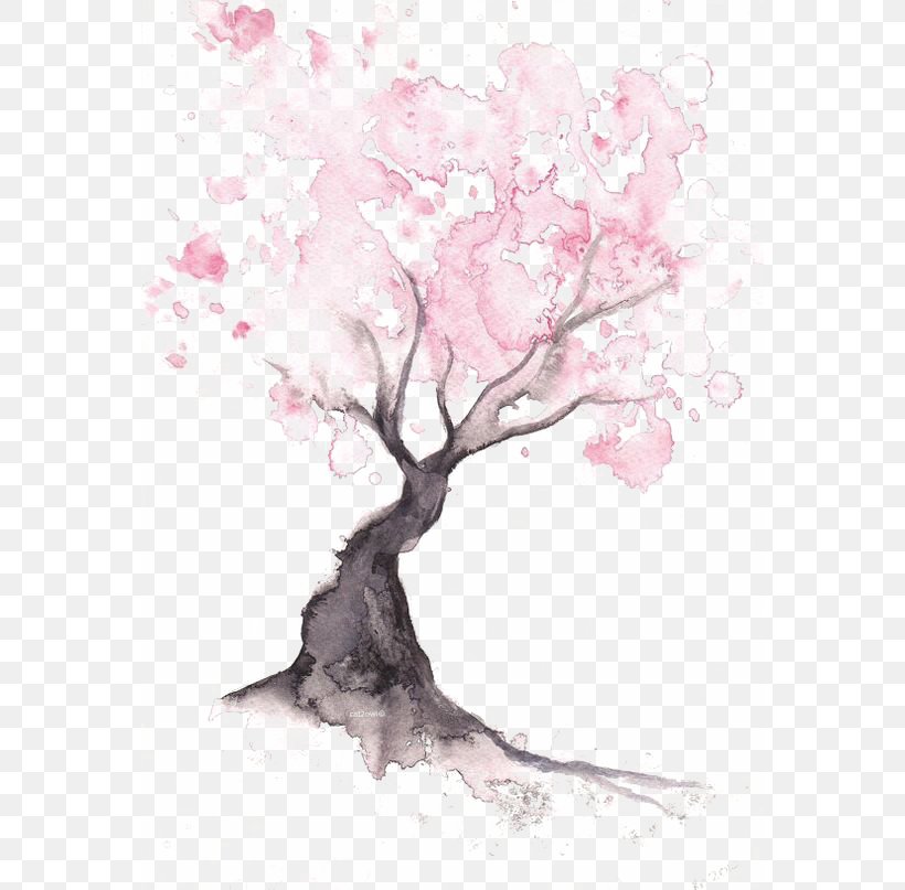 Paper Cherry Blossom Watercolor Painting Drawing, PNG, 564x807px, Paper, Art, Blossom, Branch, Cherry Download Free