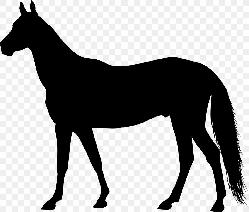 American Quarter Horse American Paint Horse Equestrian Clip Art, PNG, 2289x1954px, American Quarter Horse, American Paint Horse, Black And White, Bridle, Colt Download Free