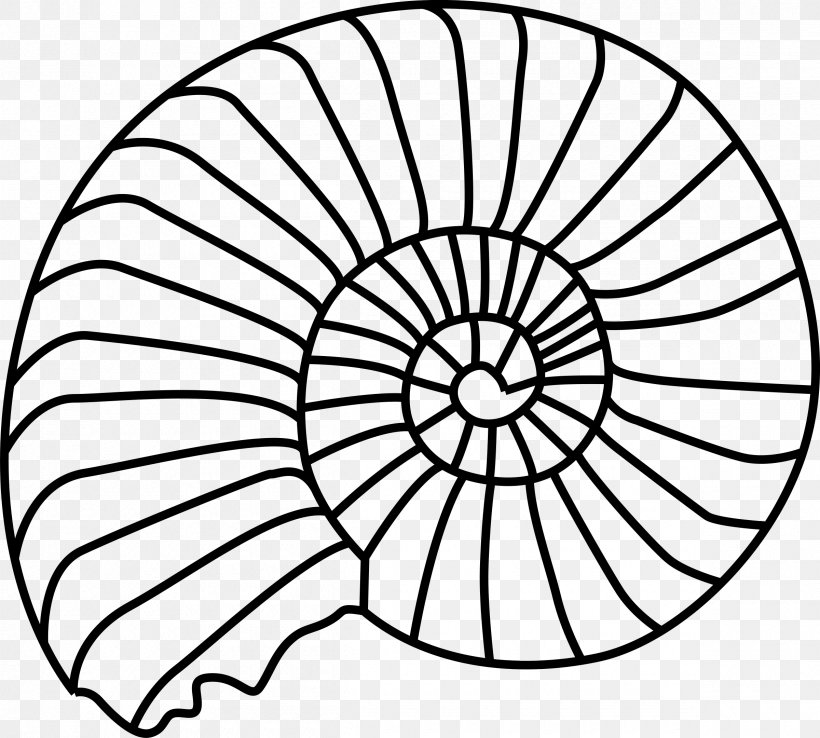 Fossil Trochitenkalk Formation Trilobite Clip Art, PNG, 2400x2160px, Fossil, Ammonites, Area, Asaphus, Black And White Download Free