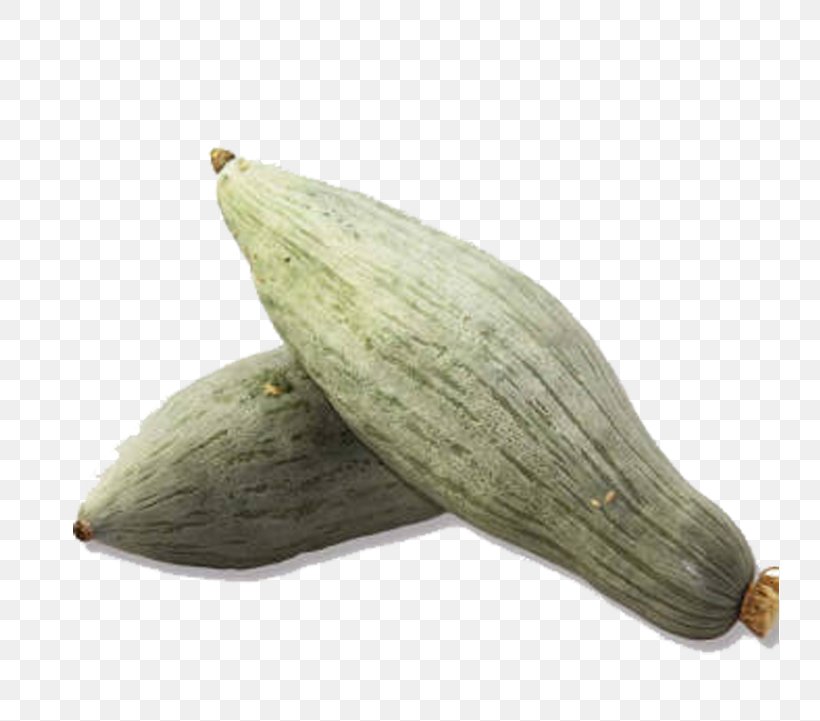 Seed Pumpkin Sweet Chestnut Icon, PNG, 739x721px, Seed, Commodity, Germination, Ingredient, Pumpkin Download Free