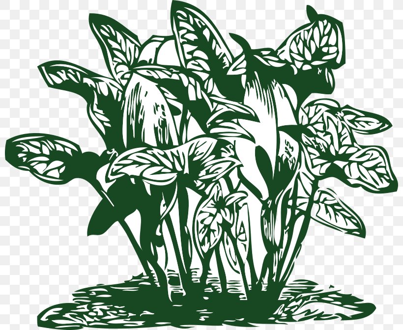 Tropics Plant Clip Art, PNG, 800x672px, Tropics, Beach Vegetation, Black And White, Fictional Character, Flora Download Free