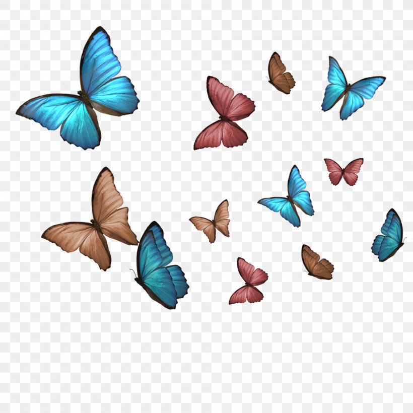 Butterfly Archive Of Our Own Organization For Transformative Works Art School, PNG, 2000x2000px, Butterfly, Animation, Archive Of Our Own, Art, Insect Download Free