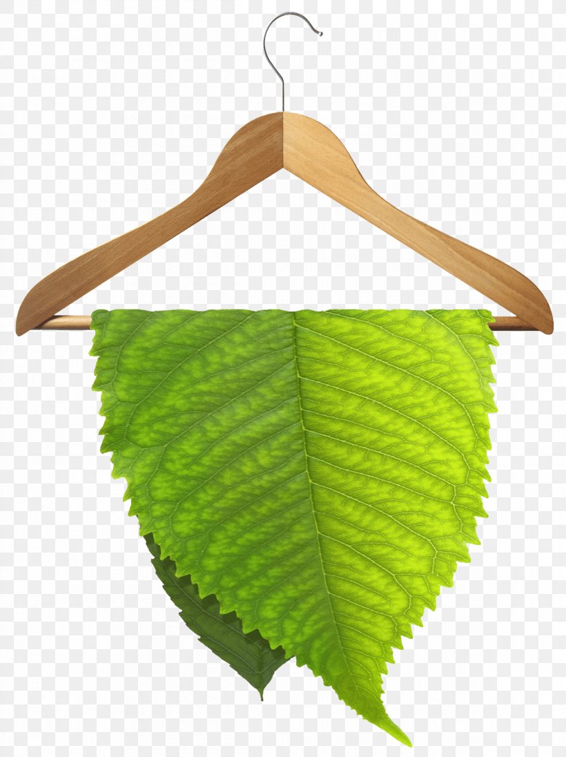 Dry Cleaning Wet Cleaning Environmentally Friendly Cleaner, PNG, 1200x1604px, Dry Cleaning, Cleaner, Cleaning, Clothing, Environment Download Free