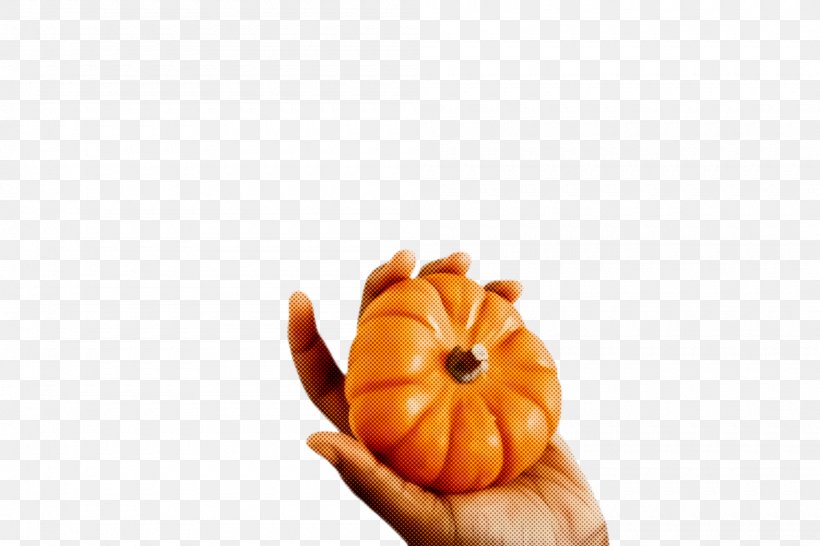 Orange, PNG, 2000x1332px, Orange, Calabaza, Carving, Food, Fruit Download Free