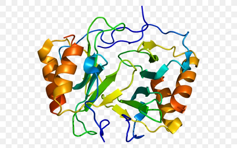 Platelet Factor 4 CXC Chemokine Receptors Heparin, PNG, 600x513px, Chemokine, Artwork, Coagulation, Crystal Structure, Cxc Chemokine Receptors Download Free