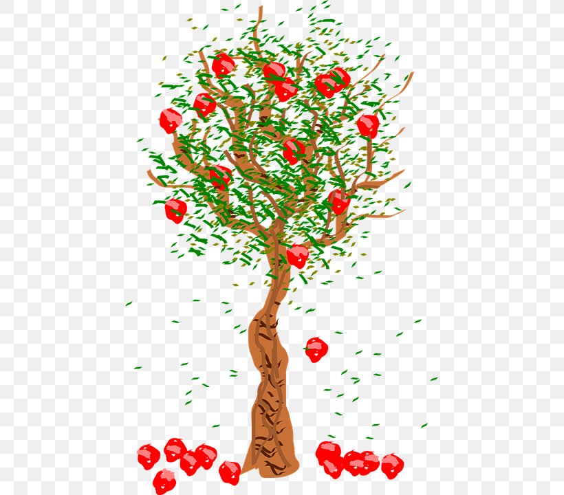 Apple Fruit Tree Clip Art, PNG, 455x720px, Apple, Art, Branch, Cherry, Christmas Decoration Download Free