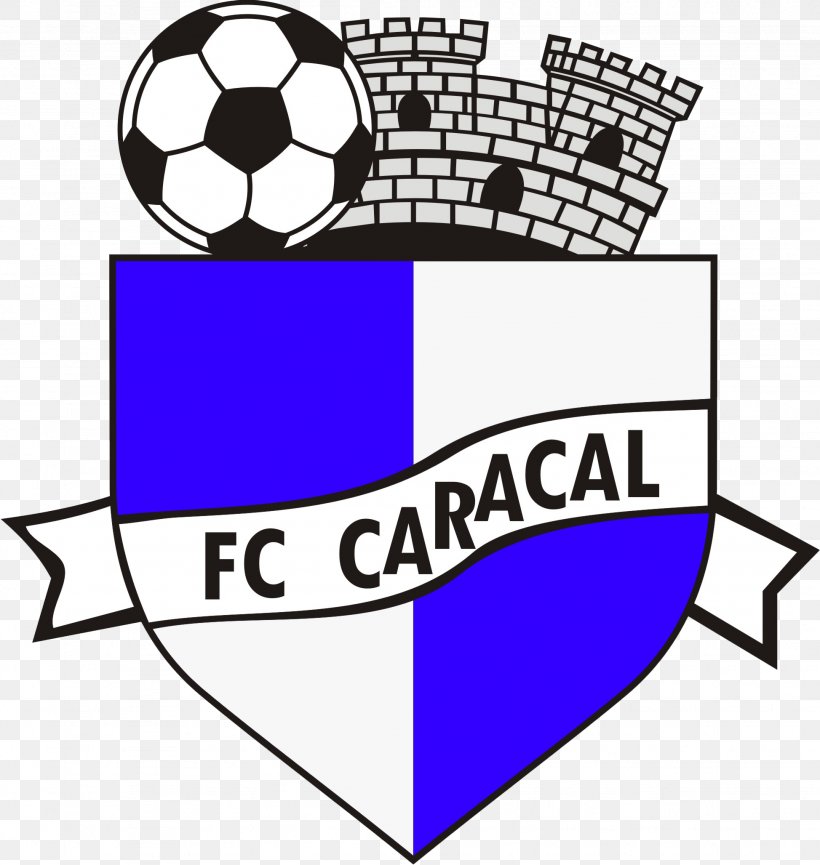 FC Caracal Stadionul Extensiv Liga I Football Team, PNG, 1947x2055px, Caracal, Area, Artwork, Ball, Brand Download Free