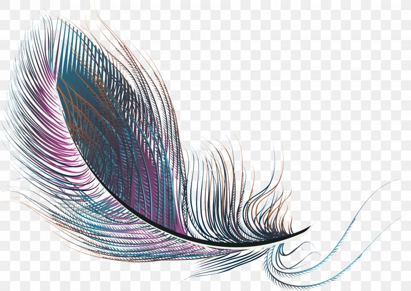 Feather, PNG, 3766x2665px, Feather, Designer, Jpeg Network Graphics, Lorem Ipsum, Project Download Free