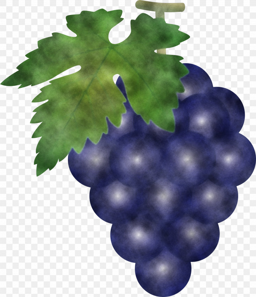 Grape Grapes Fruit, PNG, 2588x2999px, Grape, Berry, Flower, Fruit, Grape Leaves Download Free