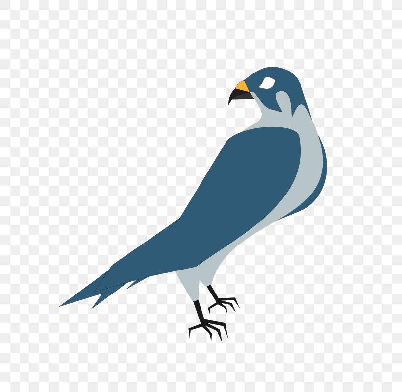 Hawk Free Content Clip Art, PNG, 759x800px, Hawk, Beak, Bird, Bird Of Prey, Blog Download Free