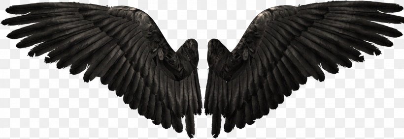 Angel YouTube Clip Art, PNG, 1979x683px, Aile, Bat Wing Development, Beak, Black And White, Feather Download Free